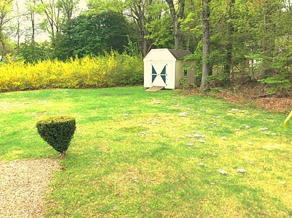 22 Inwood Road Rutland, MA 01543 - Photo 23 of 23 a view of a pool with a backyard