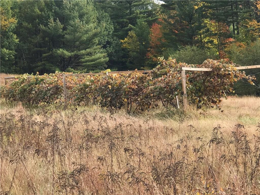 0 Bog Road Bethel, ME 04217 - Photo 5 of 17 Photo