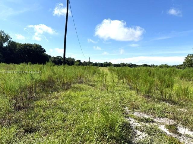 3003 Hicks Road Lorida, FL 33857 - Photo 2 of 9 Gallery Image 2