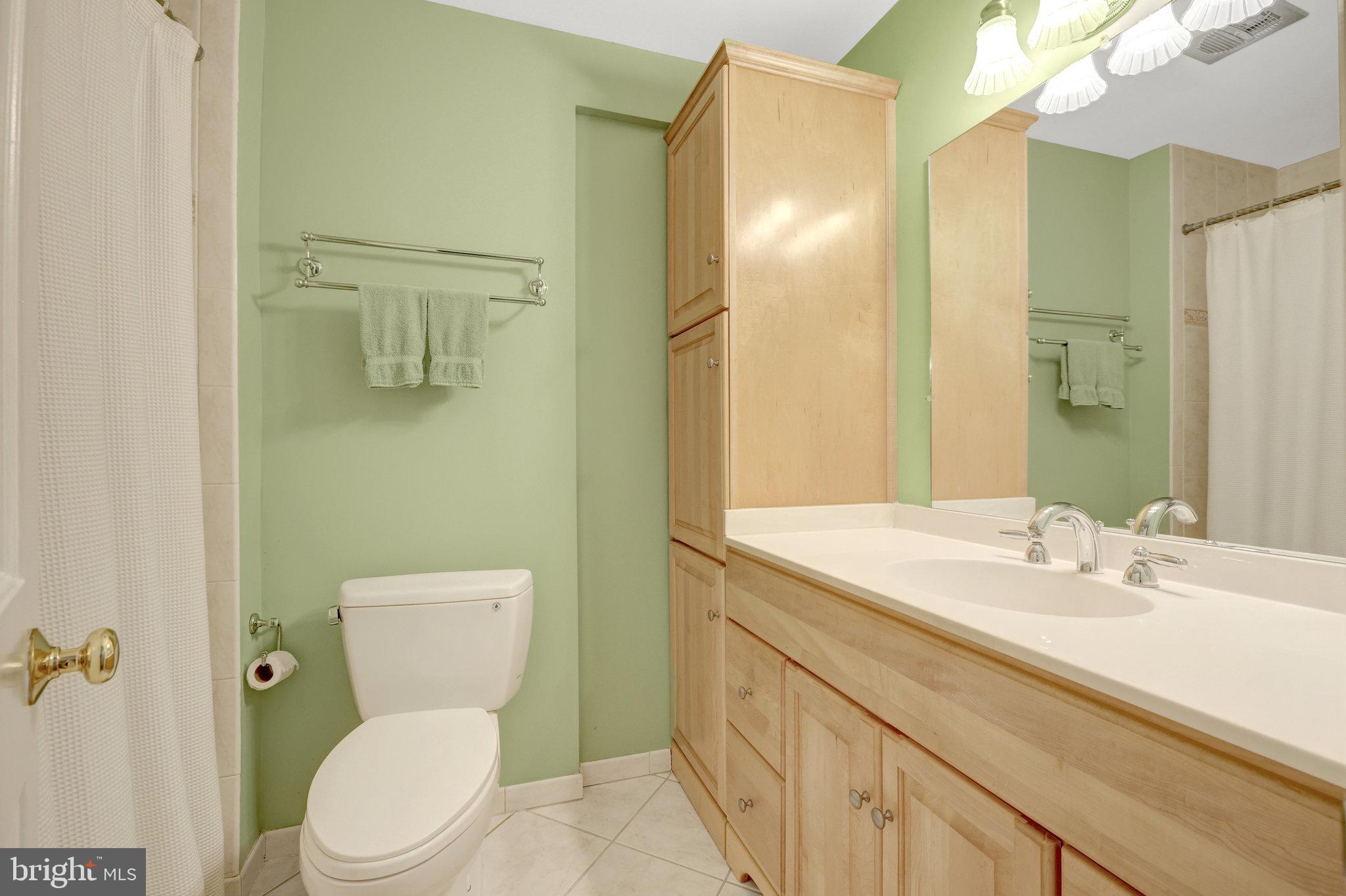 2042 Carrhill Road Vienna, VA 22181 - Photo 47 of 80 a bathroom with a sink a toilet a mirror and shower