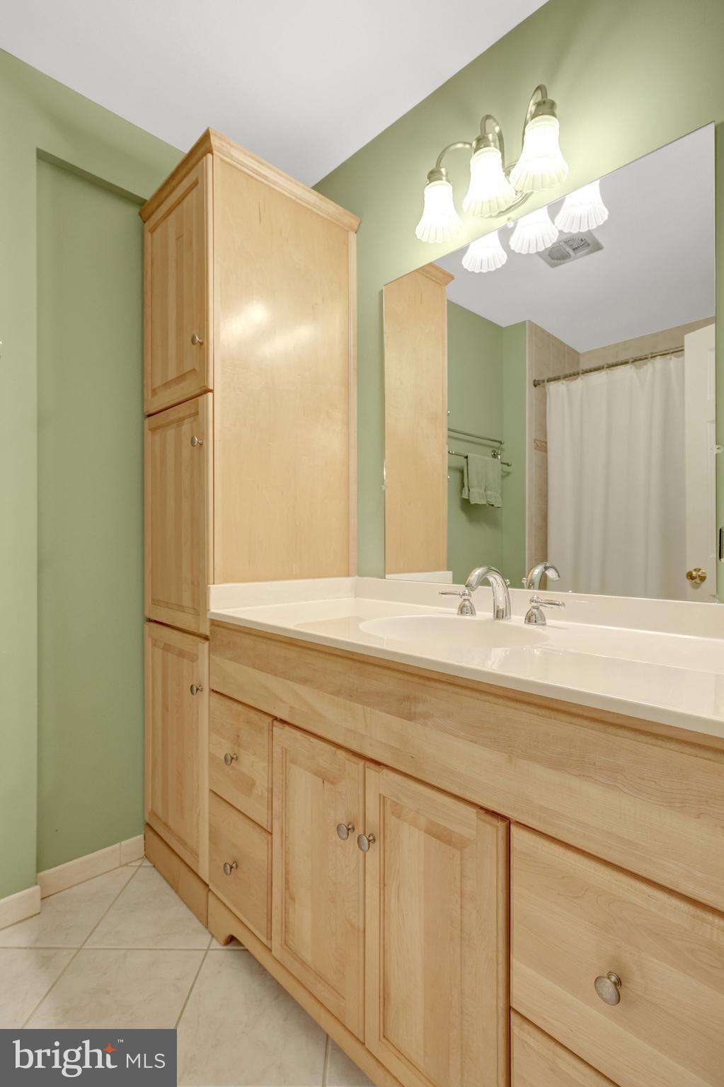 2042 Carrhill Road Vienna, VA 22181 - Photo 48 of 80 a bathroom with a double vanity sink and a mirror