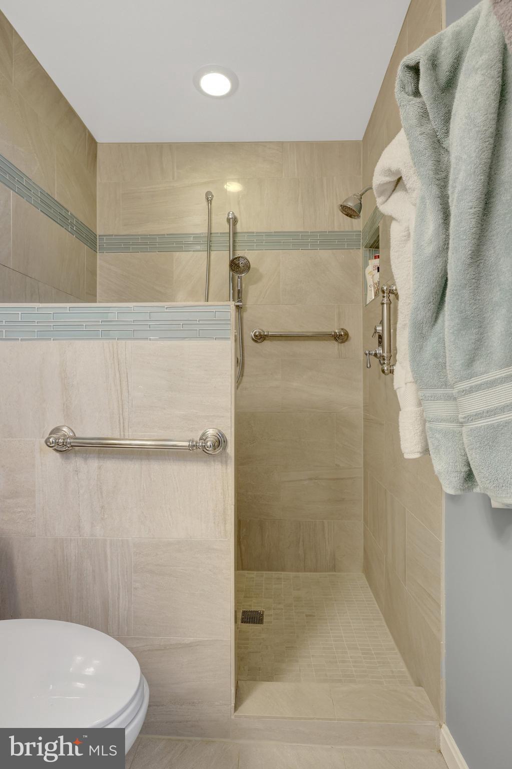 2042 Carrhill Road Vienna, VA 22181 - Photo 58 of 80 a bathroom with a shower and a toilet