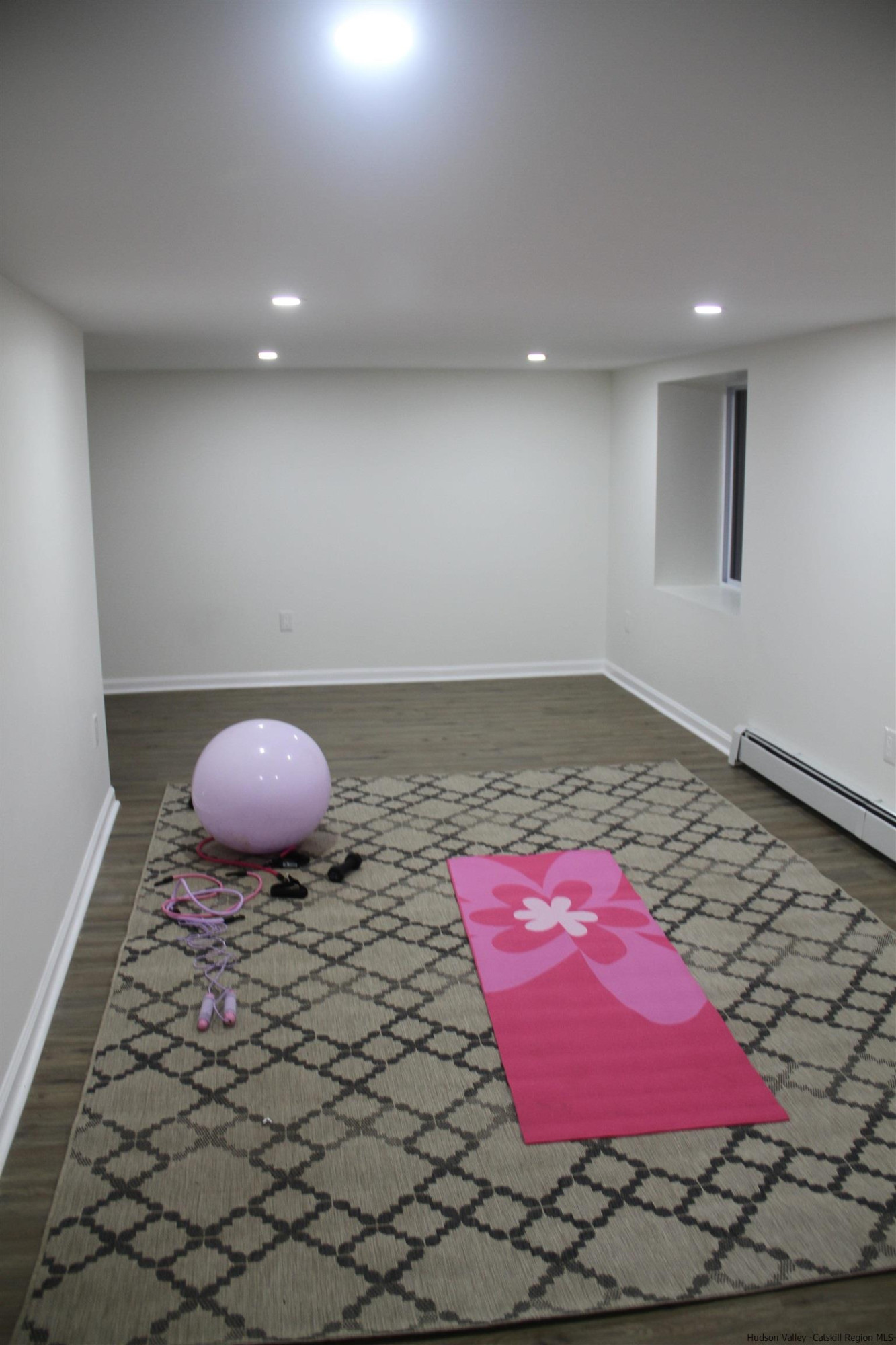 246 Jefferson Heights Catskill, NY 12414 - Photo 29 of 35 a living room with a rug