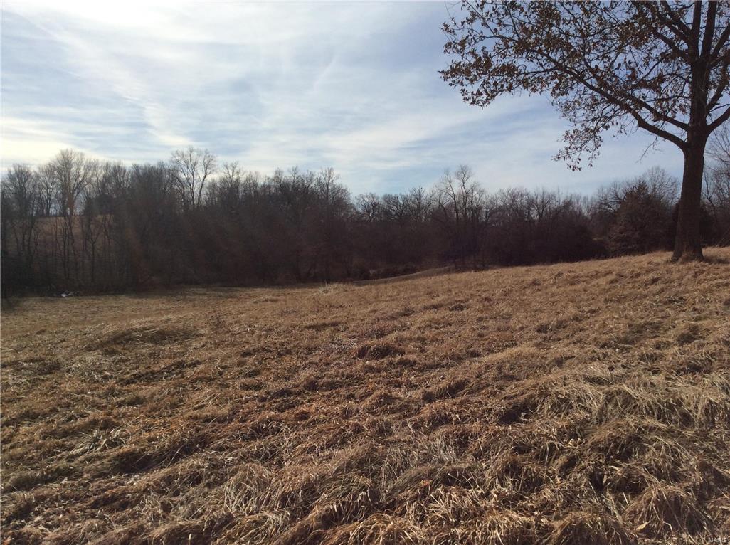 3608 Seiler Road Bethalto, IL 62010 - Photo 5 of 59