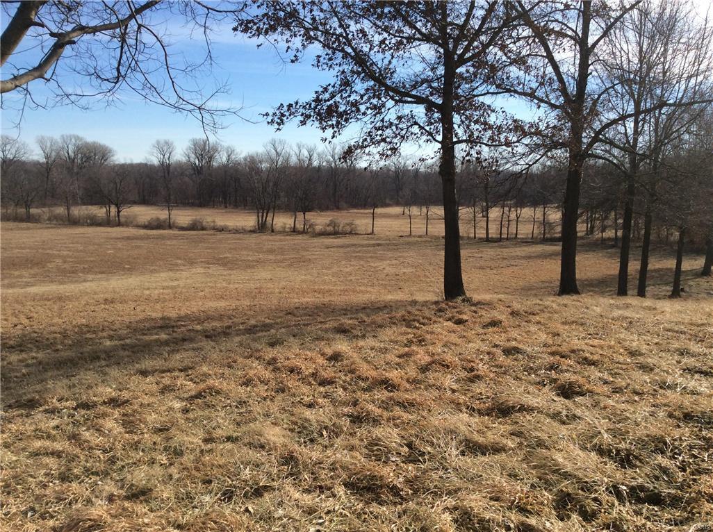 3608 Seiler Road Bethalto, IL 62010 - Photo 6 of 59