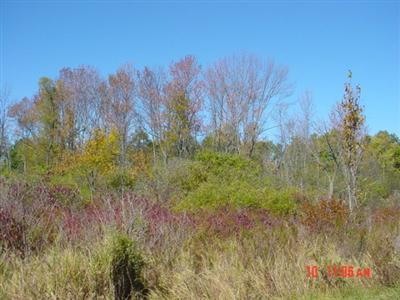 Rodgers Road Hillsdale, MI 49242 - Photo 1 of 1 Primary Photo