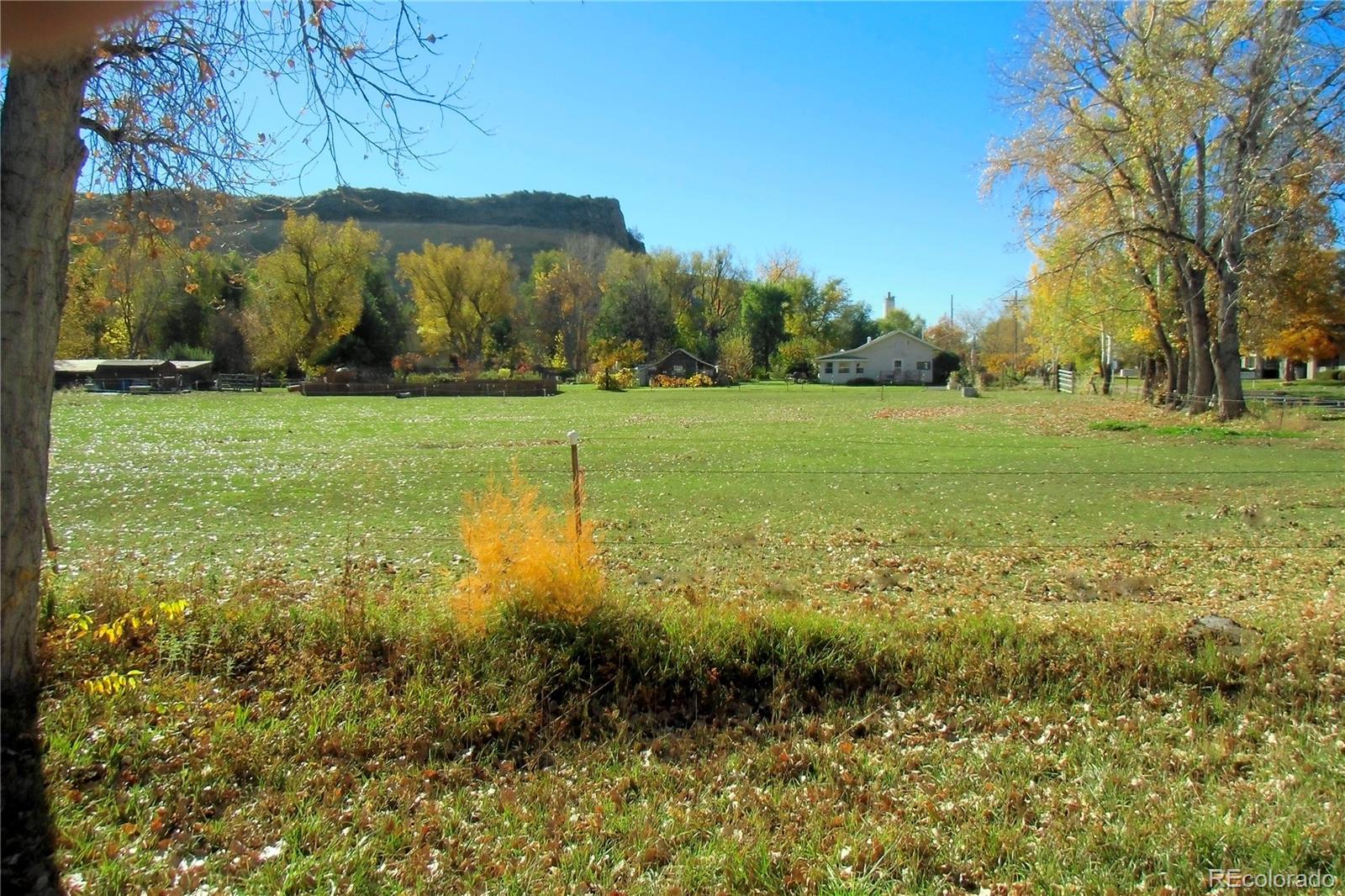 3152 Indian Road Boulder, CO 80301 - Photo 36 of 49 a view of yard with an trees