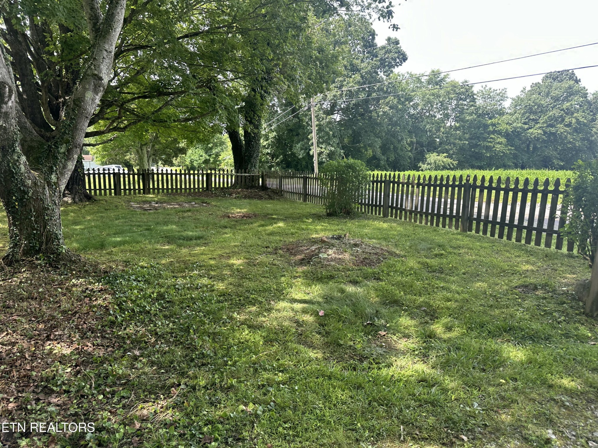 538 Harding Road Jamestown, TN 38556 - Photo 31 of 42