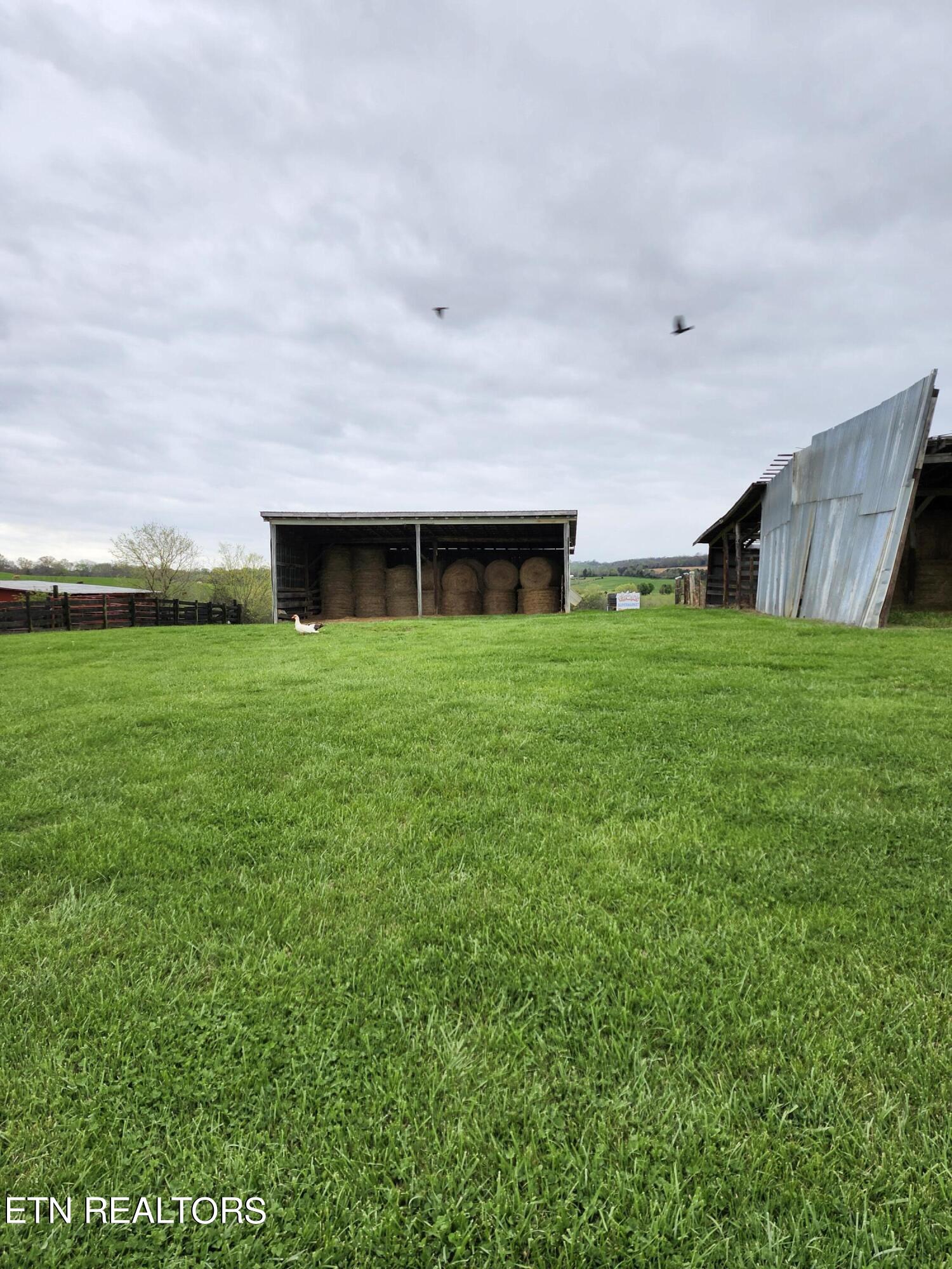 715 Spring Creek Road Dandridge, TN 37725 - Photo 46 of 57 20240404_091632