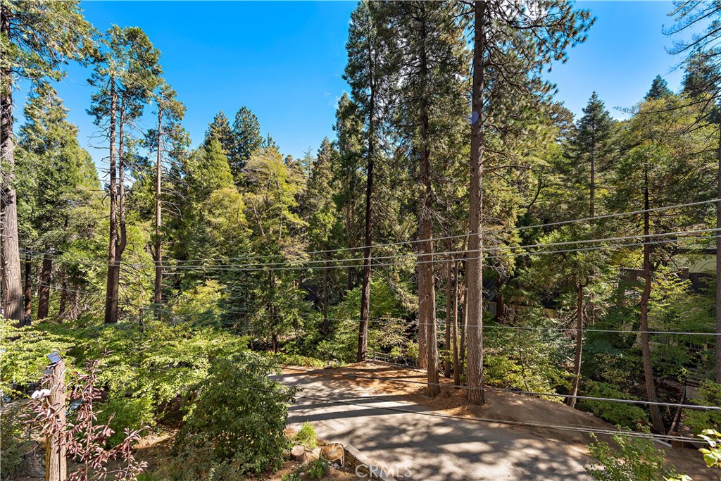400 Cottage Grove Road Lake Arrowhead, CA 92352 - Photo 45 of 70 a view of outdoor space and street view