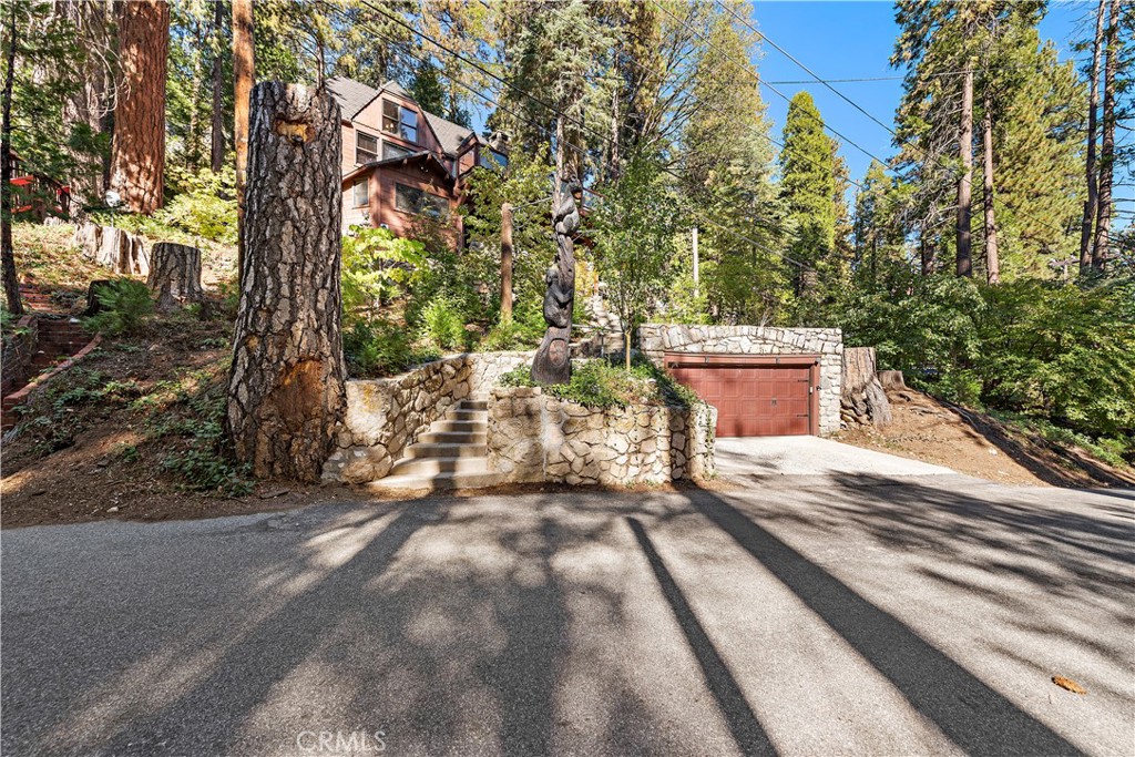 400 Cottage Grove Road Lake Arrowhead, CA 92352 - Photo 60 of 70 a view of a yard with plants and trees