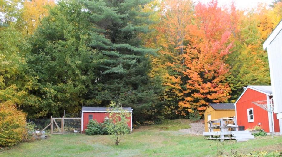 96 Blackguard Road Waterford, ME 04088 - Photo 38 of 62 Storage