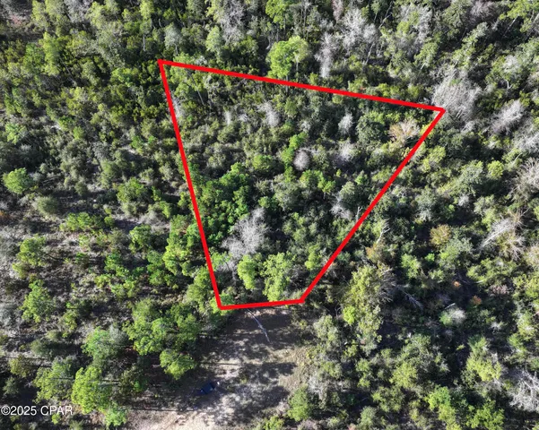 $9,000 | 0 Pisgah Court, Alford, FL 32420