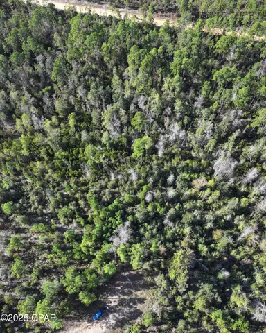 $9,000 | 0 Pisgah Court, Alford, FL 32420