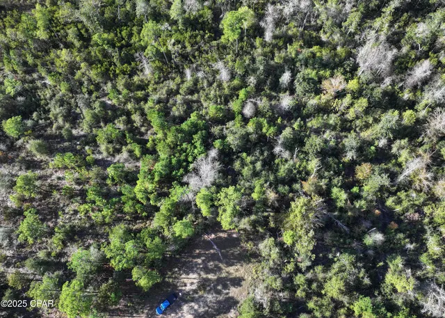 $9,000 | 0 Pisgah Court, Alford, FL 32420