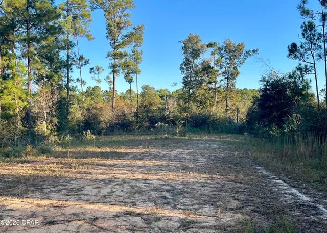 $9,000 | 0 Pisgah Court, Alford, FL 32420