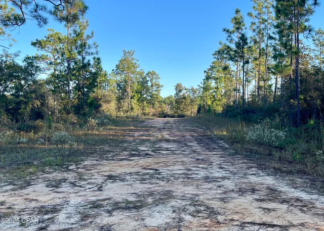 $9,000 | 0 Pisgah Court, Alford, FL 32420