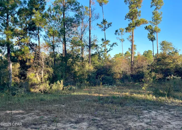 $9,000 | 0 Pisgah Court, Alford, FL 32420