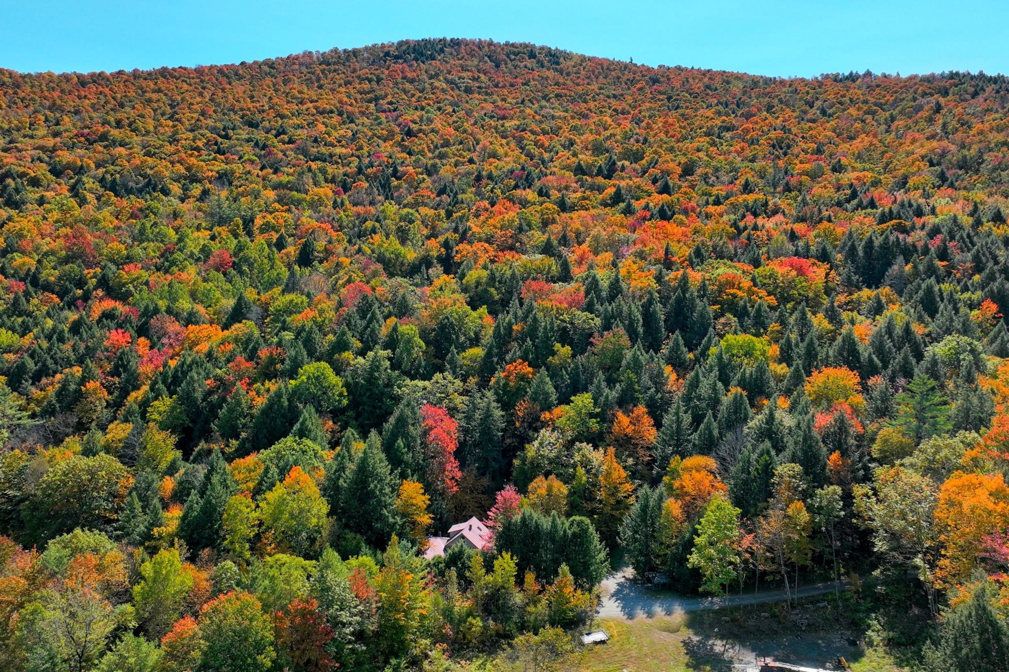 91 Arnold Mountain Road Stockbridge, VT 05772 - Photo 37 of 37