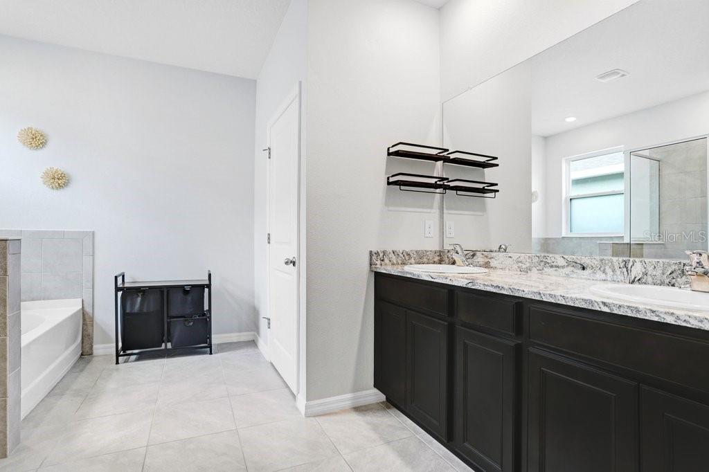 16619 Goose Ribbon Place Wimauma, FL 33598 - Photo 19 of 38 a bathroom with a sink and a mirror