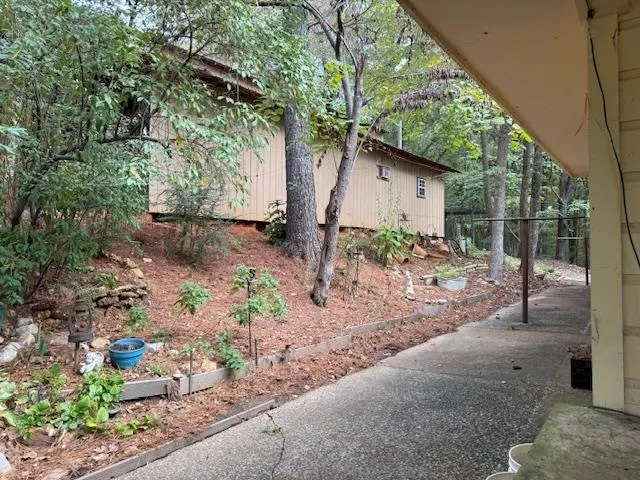 a view of a forest with trees in the background