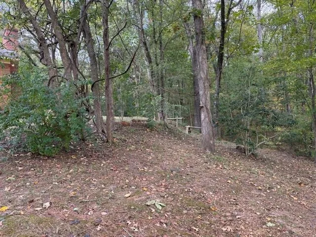 a view of backyard with green space