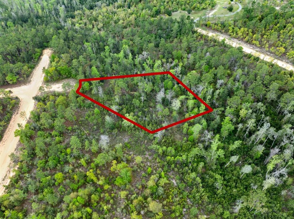 Castle Circle Alford, FL 32420 - Photo 3 of 13
