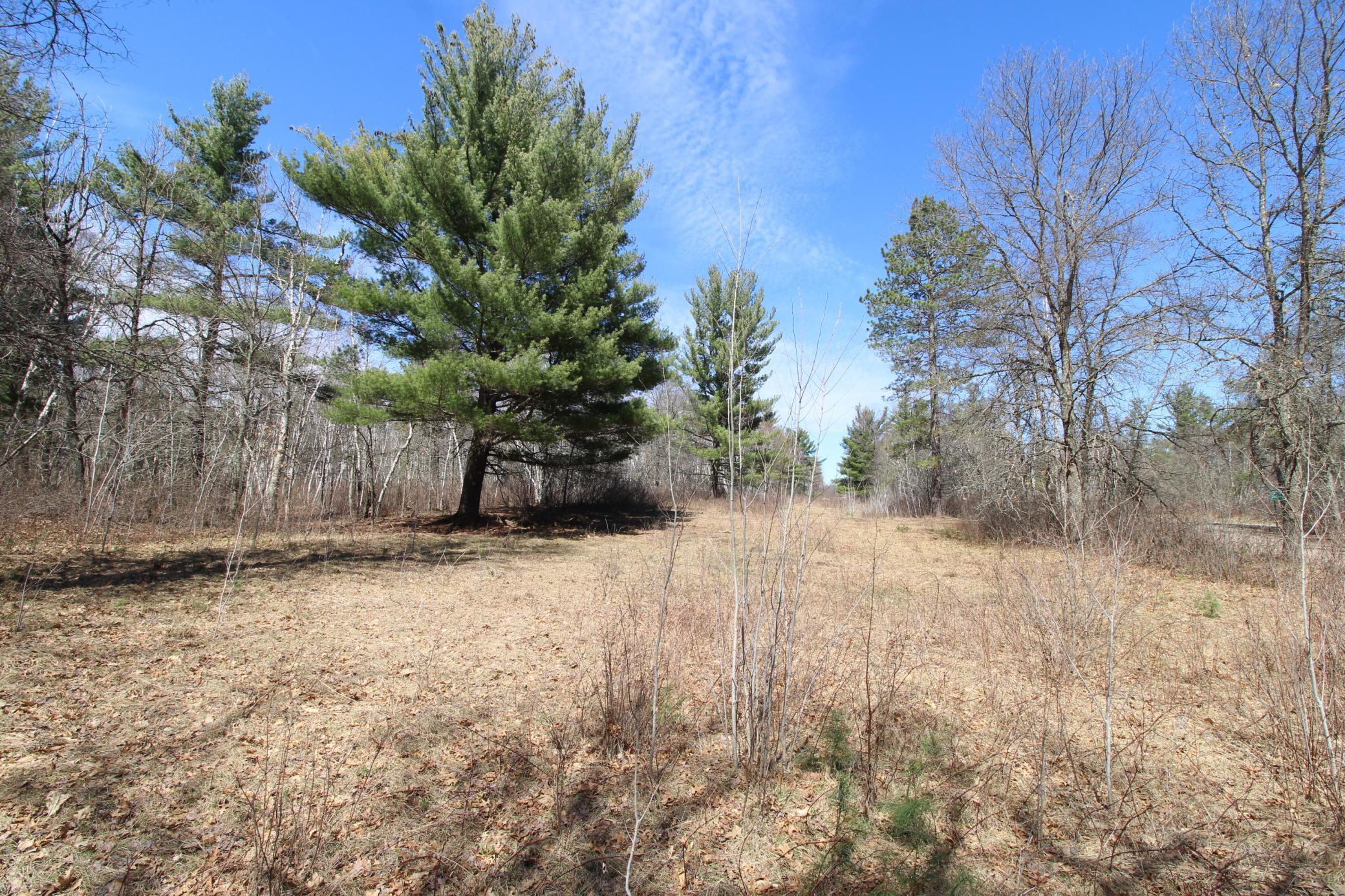 37441 Darsnek Road Crosby, MN 56441 - Photo 11 of 13 Gallery Image 11
