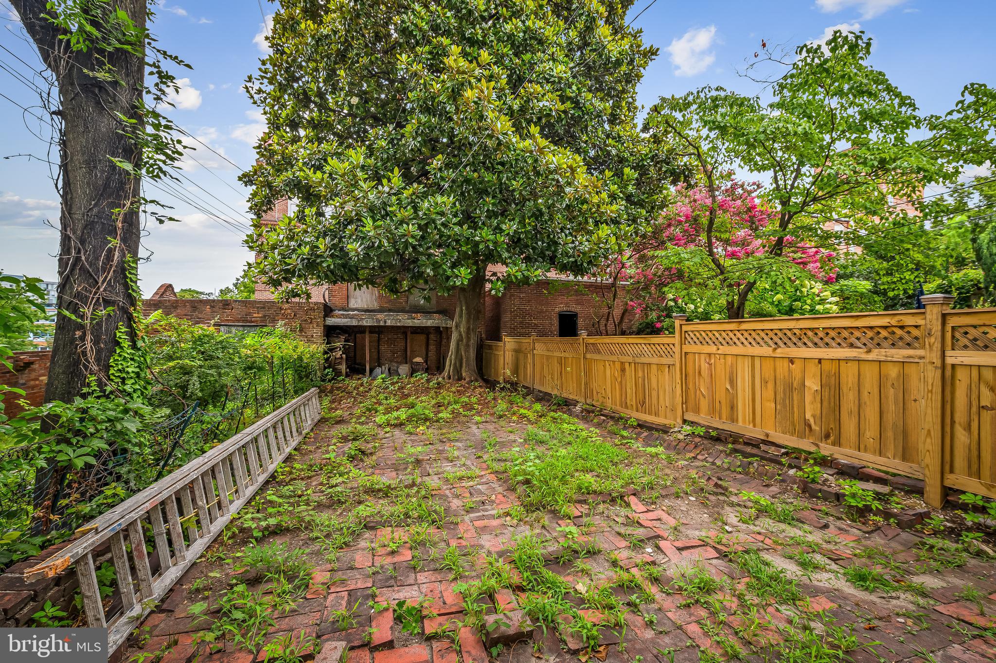1431 Park Avenue Baltimore, MD 21217 - Photo 48 of 55 a view of a backyard with wooden fence and a large tree