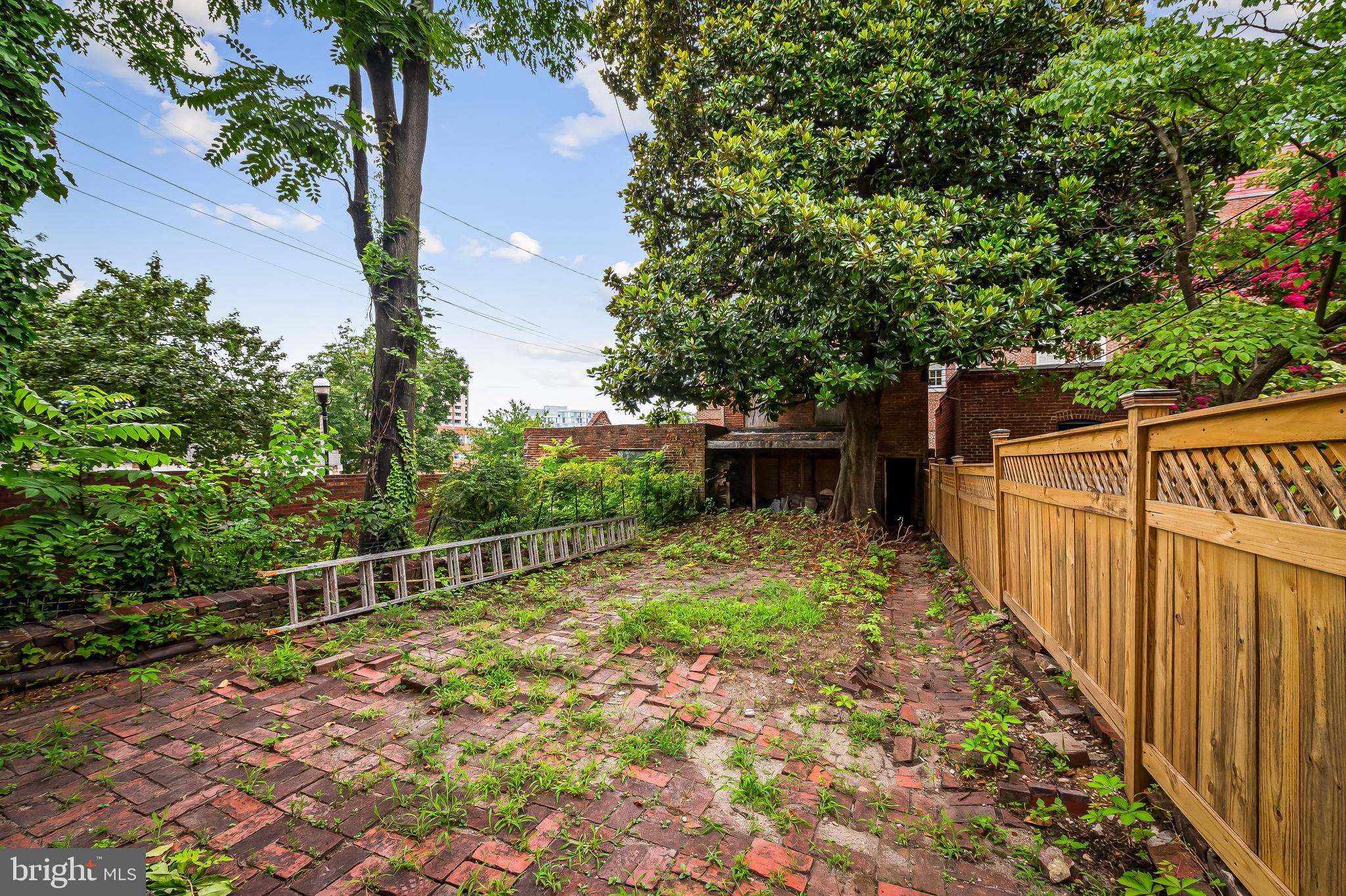 1431 Park Avenue Baltimore, MD 21217 - Photo 49 of 55 a view of a backyard