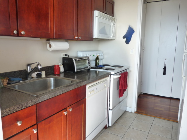 655 West Irving Park Road, Unit 4317 Chicago, IL 60613 - Photo 12 of 25 a kitchen with stainless steel appliances granite countertop a sink stove and cabinets