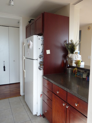 655 West Irving Park Road, Unit 4317 Chicago, IL 60613 - Photo 13 of 25 a kitchen with a refrigerator and a sink