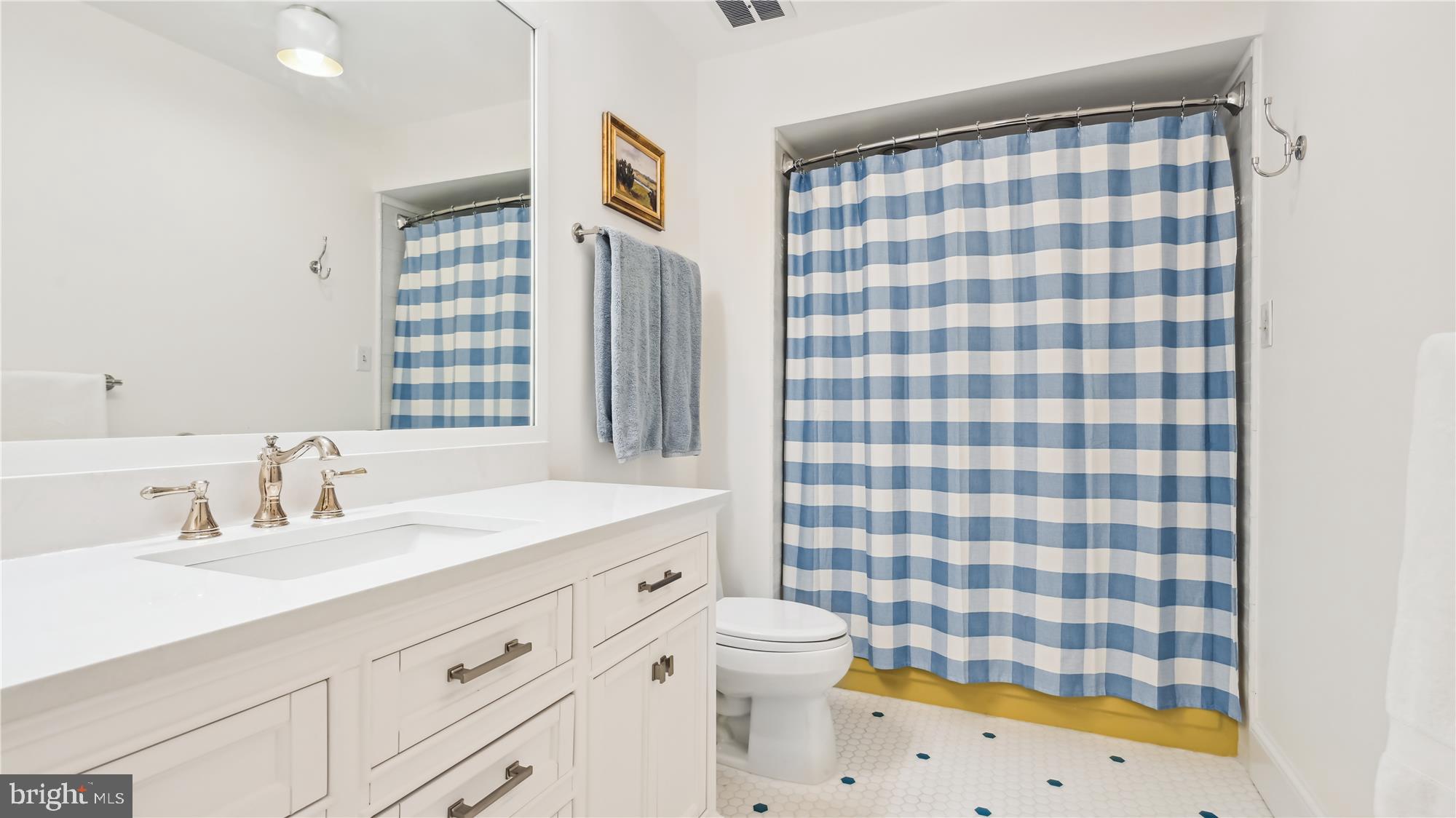 11803 Grey Birch Place Reston, VA 20191 - Photo 23 of 44 Hall Bath Updated in 2023
