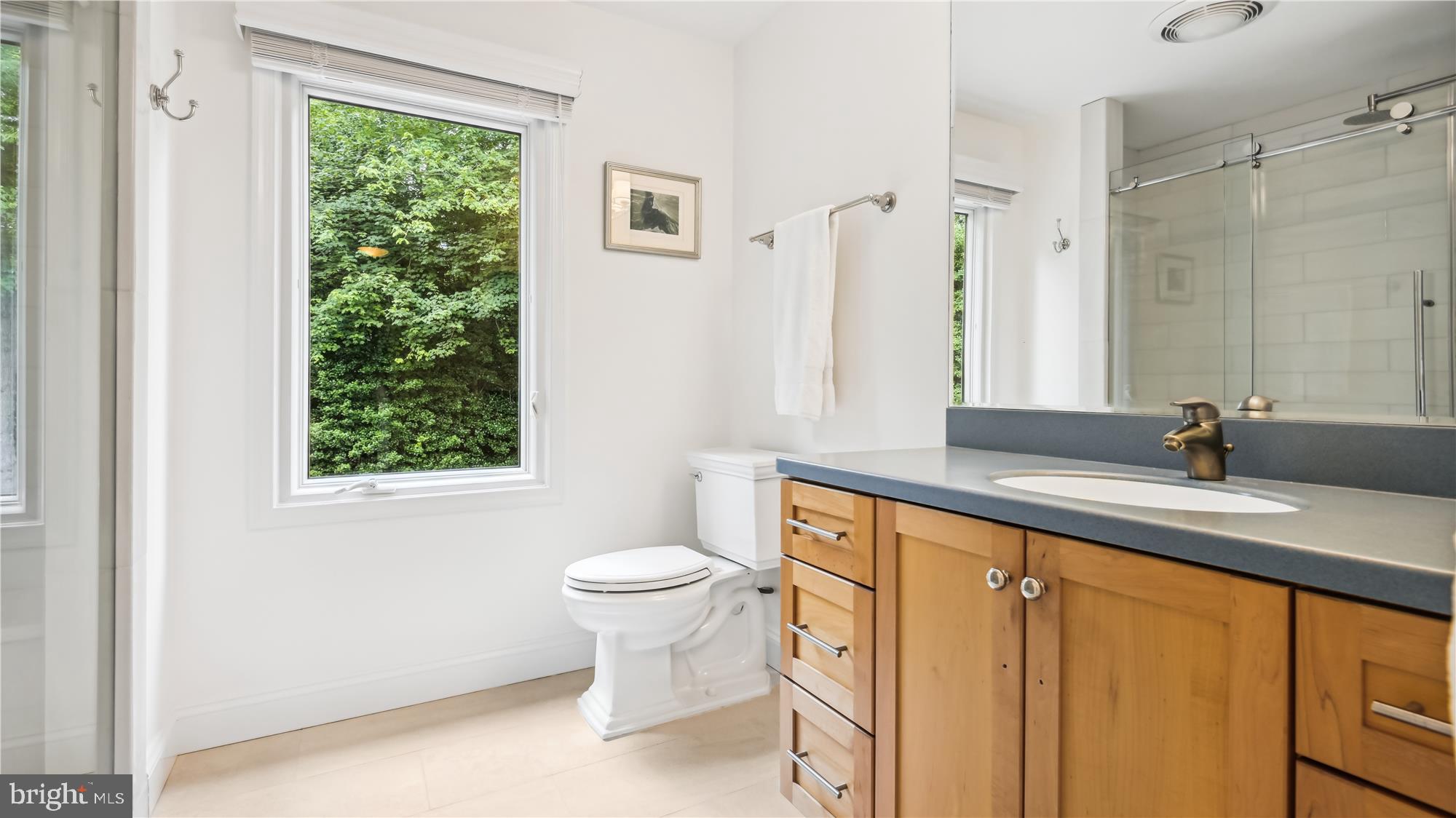 11803 Grey Birch Place Reston, VA 20191 - Photo 24 of 44 Primary Bath
