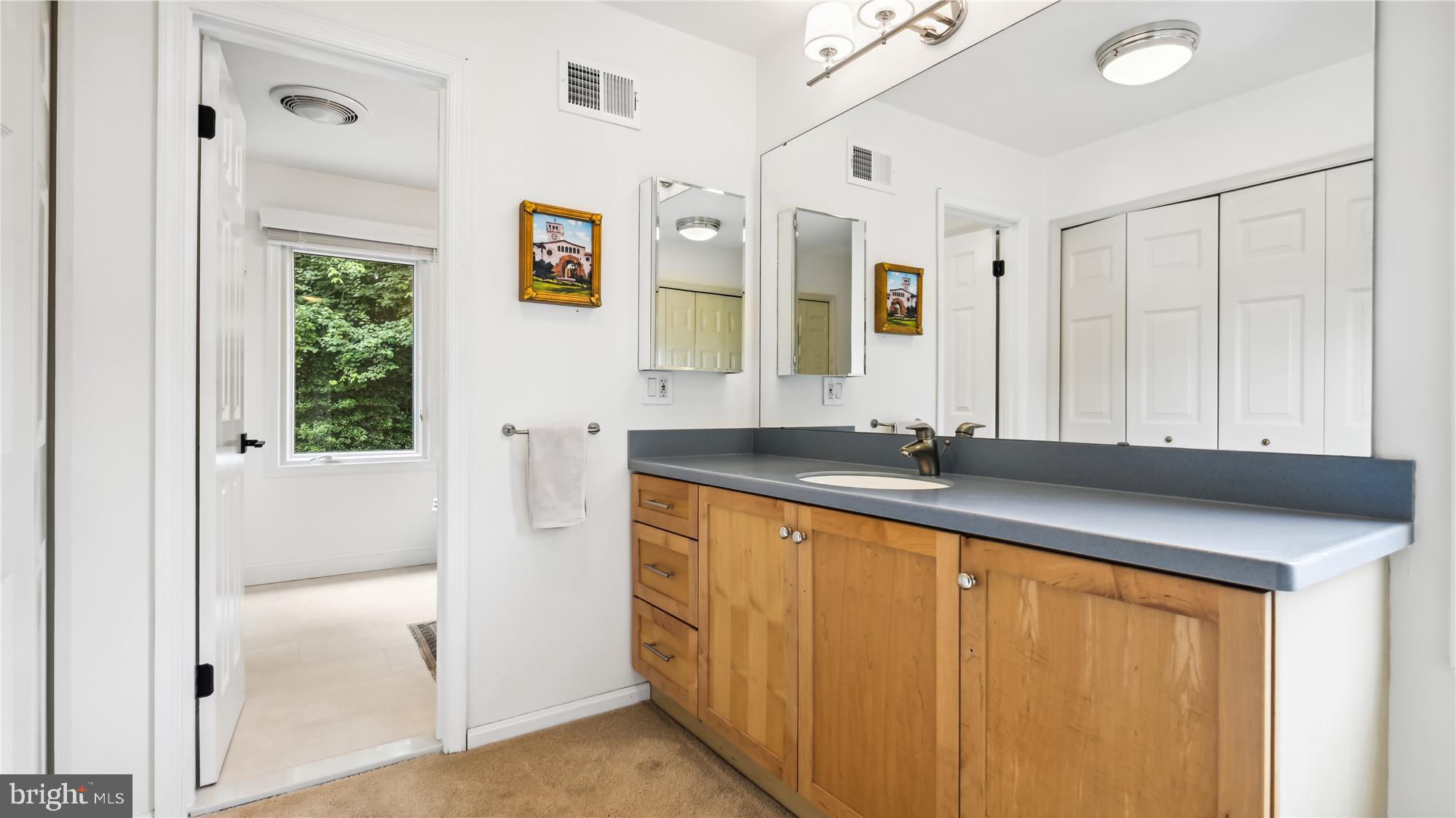11803 Grey Birch Place Reston, VA 20191 - Photo 25 of 44 Primary Vanity area. Loads of storage in BR