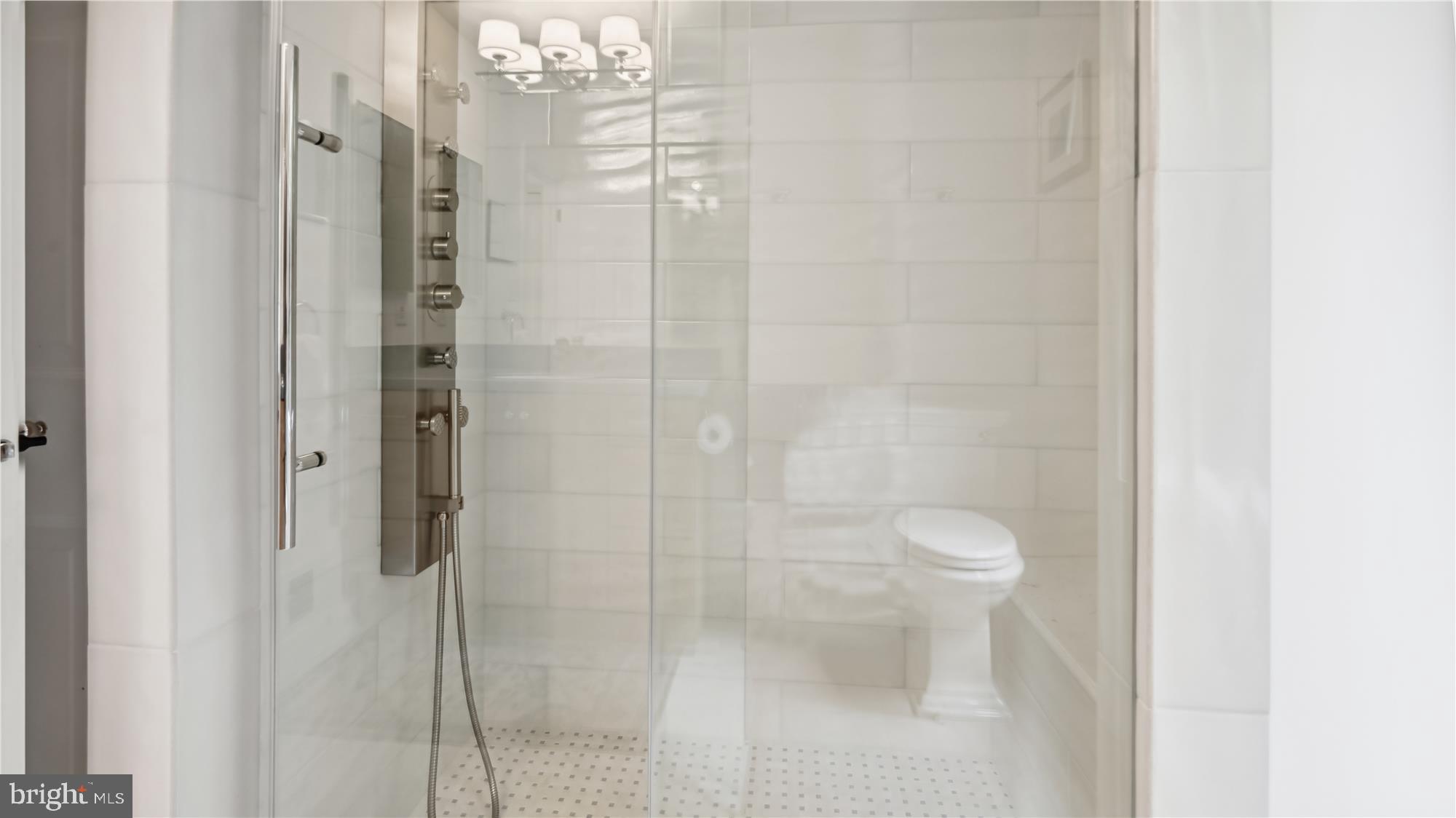 11803 Grey Birch Place Reston, VA 20191 - Photo 26 of 44 Primary Updated in 2023, custom tile & rain shower