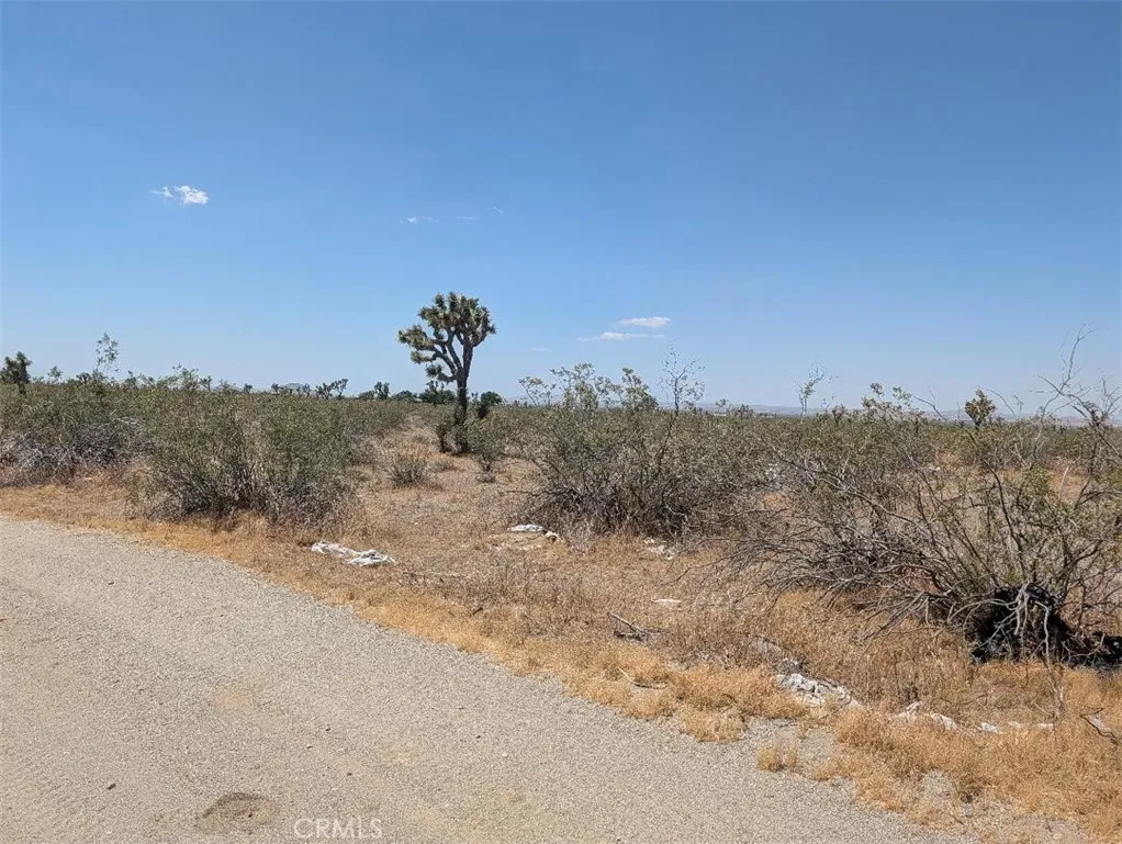 6 Dos Palmas Road Pinon Hills, CA 92372 - Photo 3 of 5 Gallery Image 3