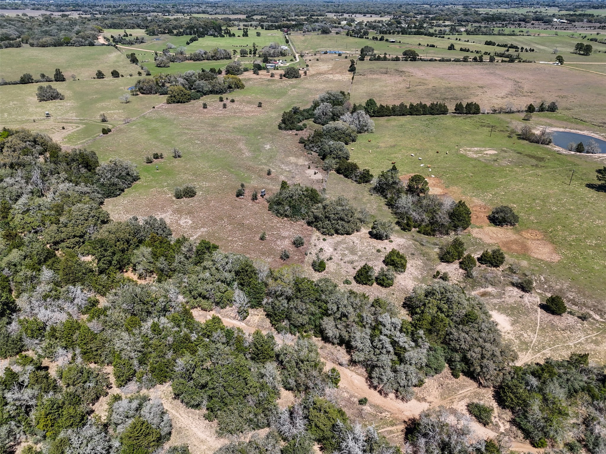 2 Reitz Quinn Road Cat Spring, TX 78933 - Photo 12 of 13 a view of lake view and covered with trees
