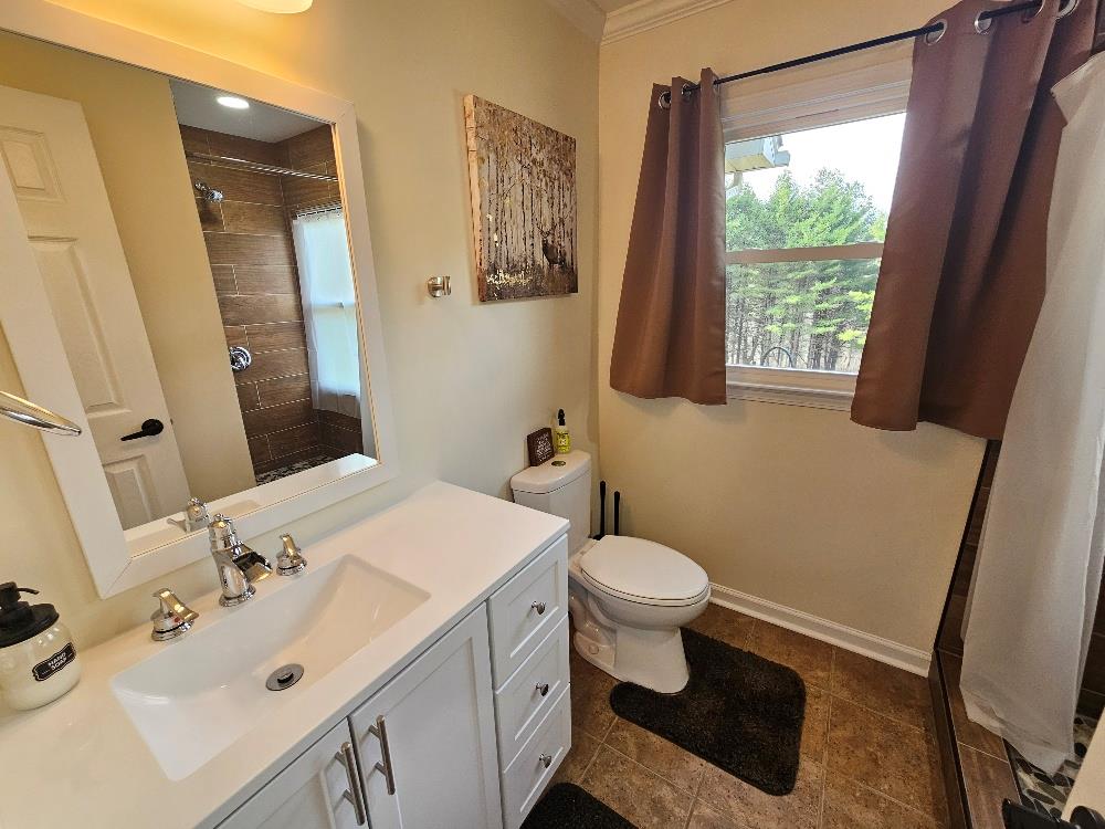 902 Sandy Level Road Woodlawn, VA 24381 - Photo 31 of 52 Gallery Image 31