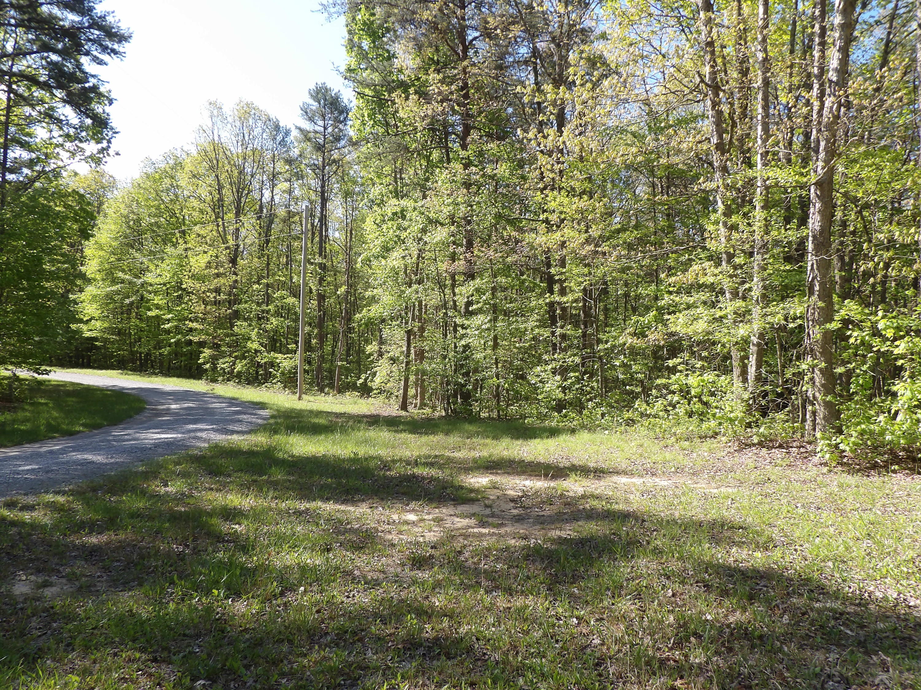 5 West Bluff Road, Unit 76 Pikeville, TN 37367 - Photo 1 of 13 100_0838