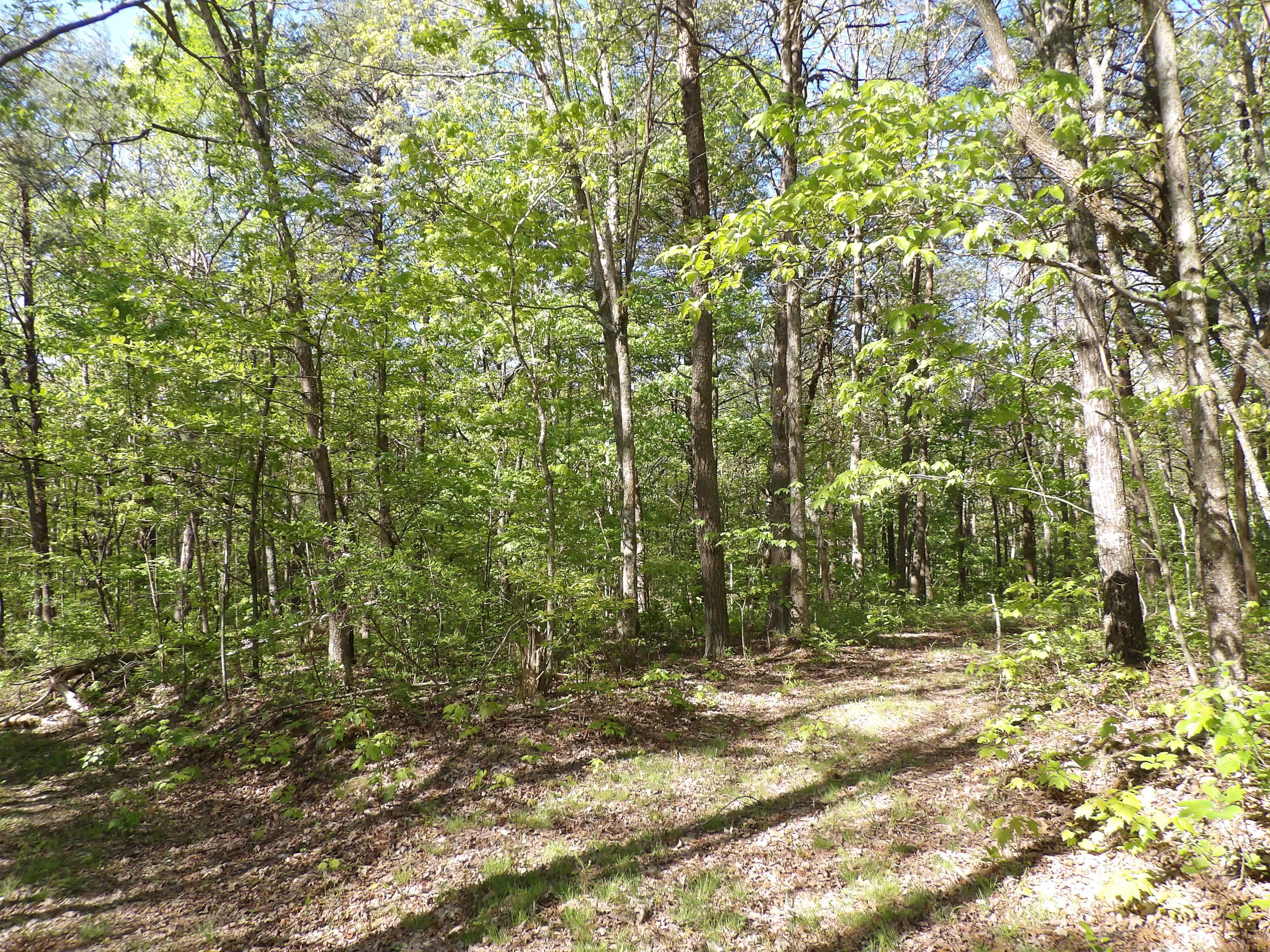 5 West Bluff Road, Unit 76 Pikeville, TN 37367 - Photo 12 of 13 100_0843