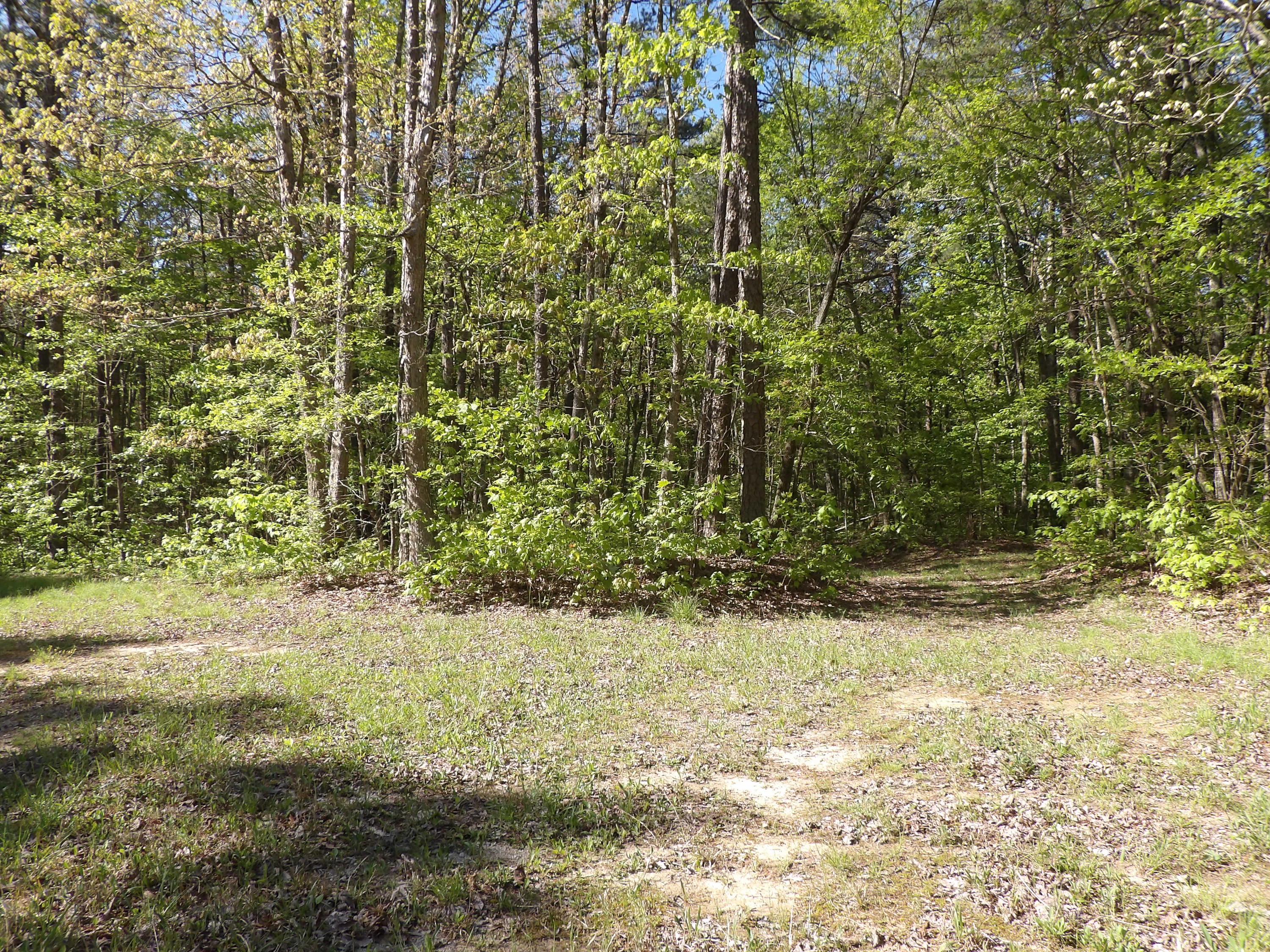 5 West Bluff Road, Unit 76 Pikeville, TN 37367 - Photo 8 of 13 100_0839