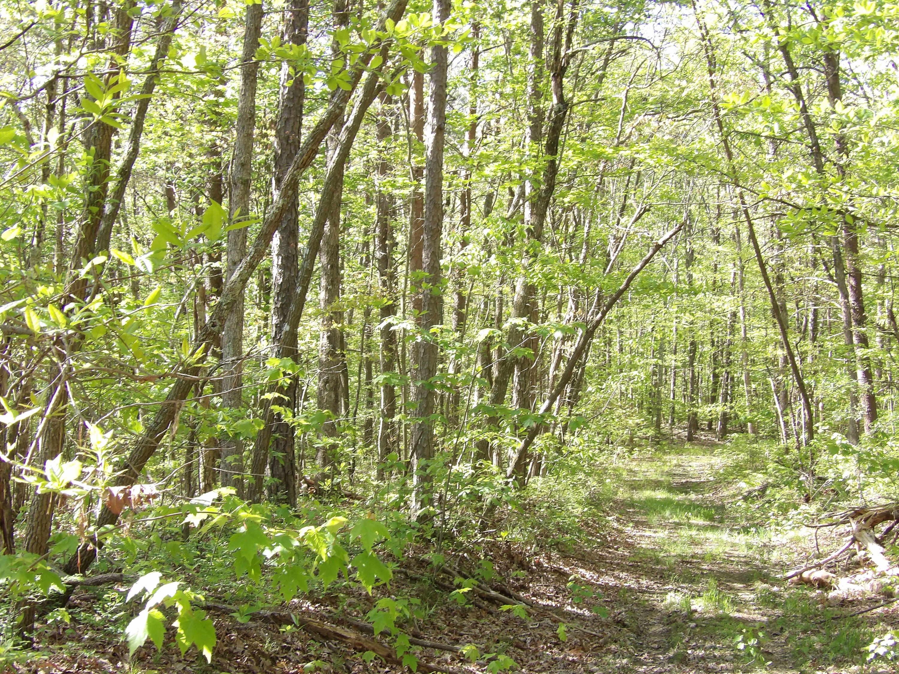 5 West Bluff Road, Unit 76 Pikeville, TN 37367 - Photo 10 of 13 100_0841