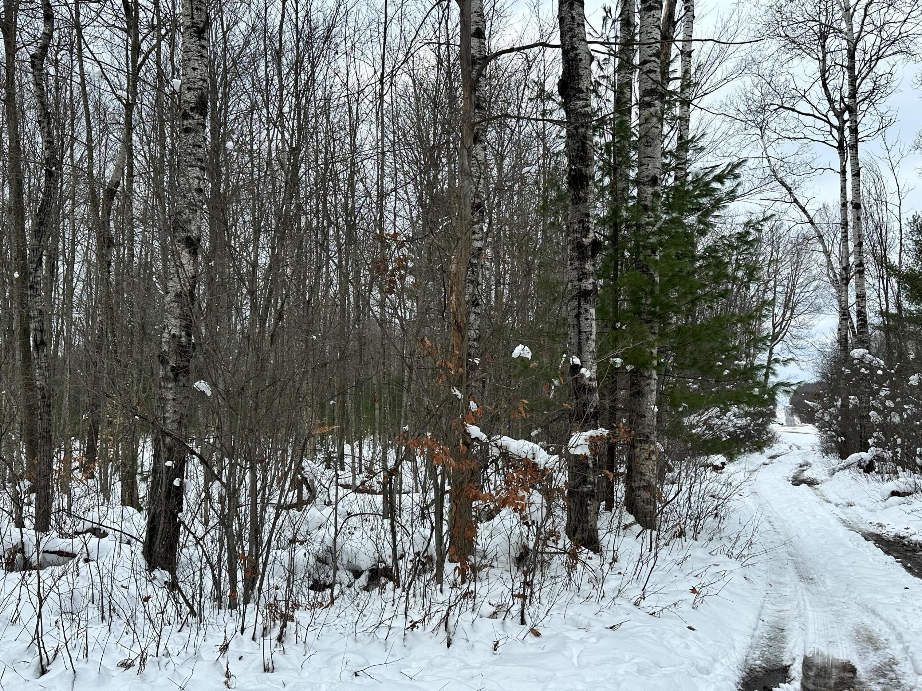 Lot 1 Bendon Road Interlochen, MI 49643 - Photo 8 of 10 5-3072x2304
