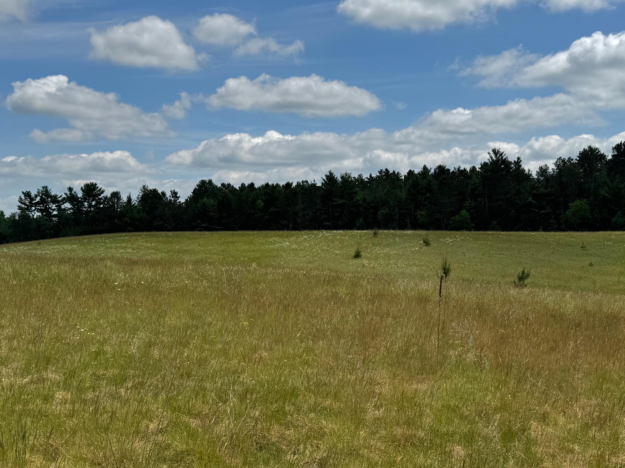 6398 Fred Tripp Road Springbrook, WI 54875 - Photo 25 of 30