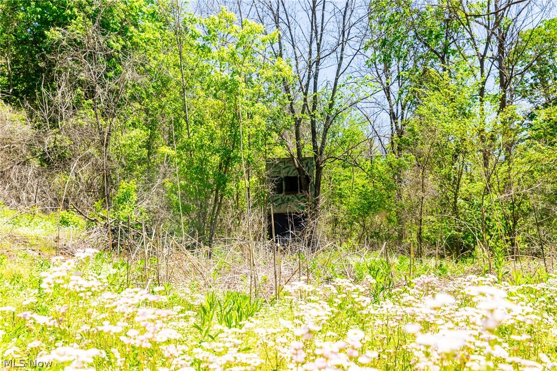 37500 Goose Run Road Dexter City, OH 45727 - Photo 41 of 50