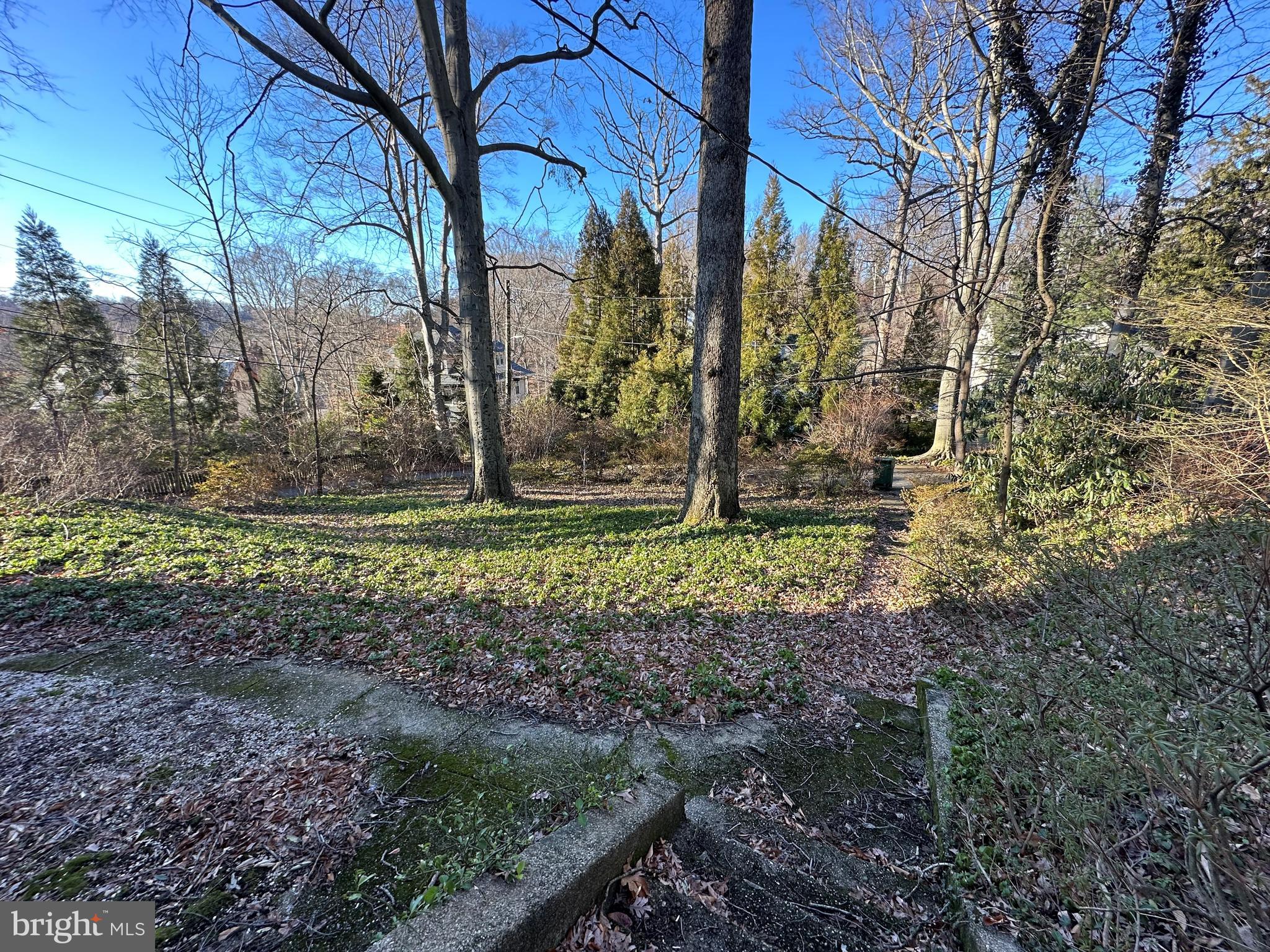 112 Elmhurst Road Baltimore, MD 21210 - Photo 4 of 29 a backyard of a house with lots of green space