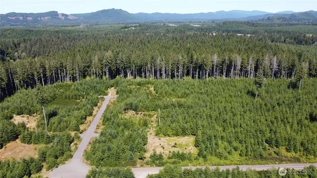 $99,000 | 9999 King Johns-lot 4 Ravens Sp Way Forks, Forks, WA 98331