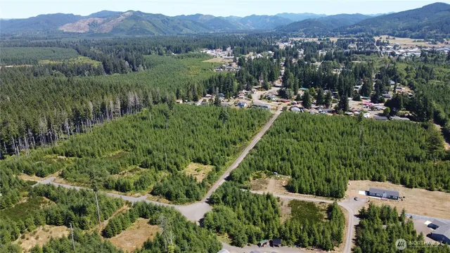 $99,000 | 9999 King Johns-lot 4 Ravens Sp Way Forks, Forks, WA 98331