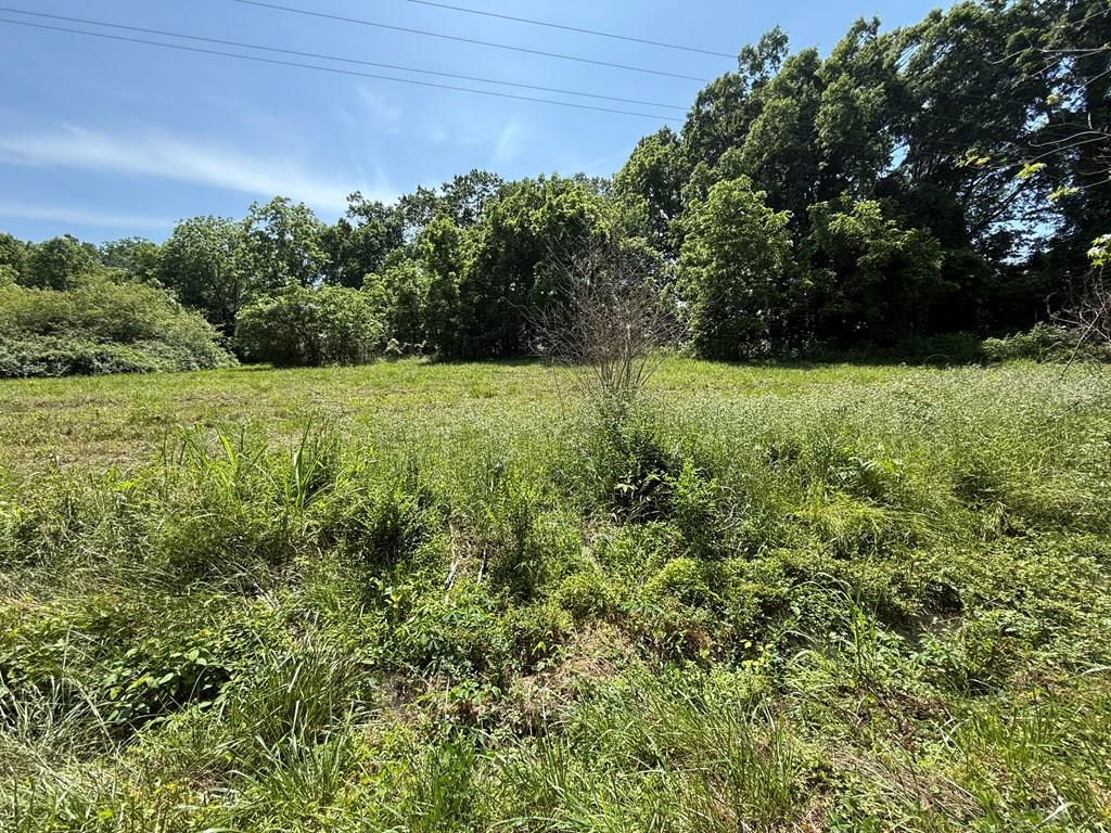 Bird Road, Unit 1607 Blackstone, VA 23824 - Photo 3 of 7 Gallery Image 3